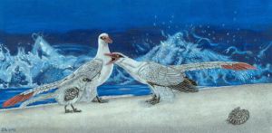 Archaeopteryx Family, from 